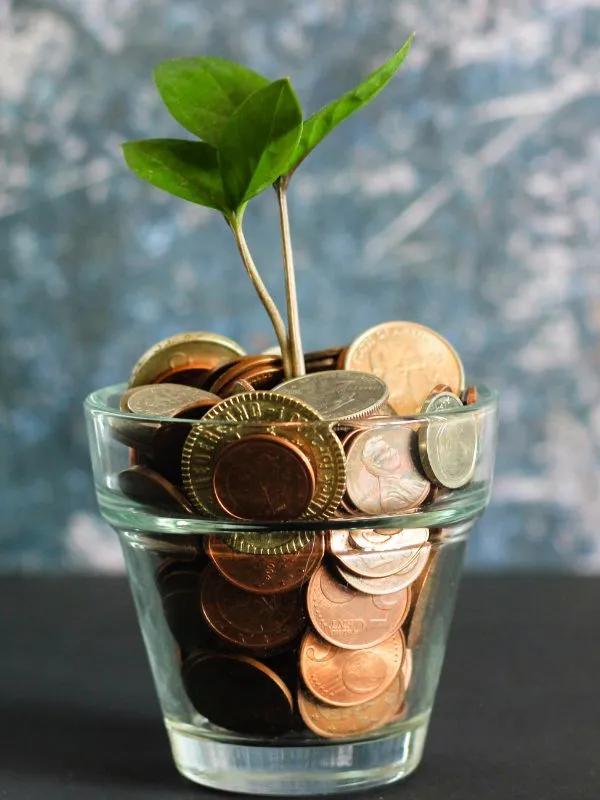 Jak oszczędzać pieniądze? Poznaj 5 praktycznych porad i odmień oblicze swojego budżetu
